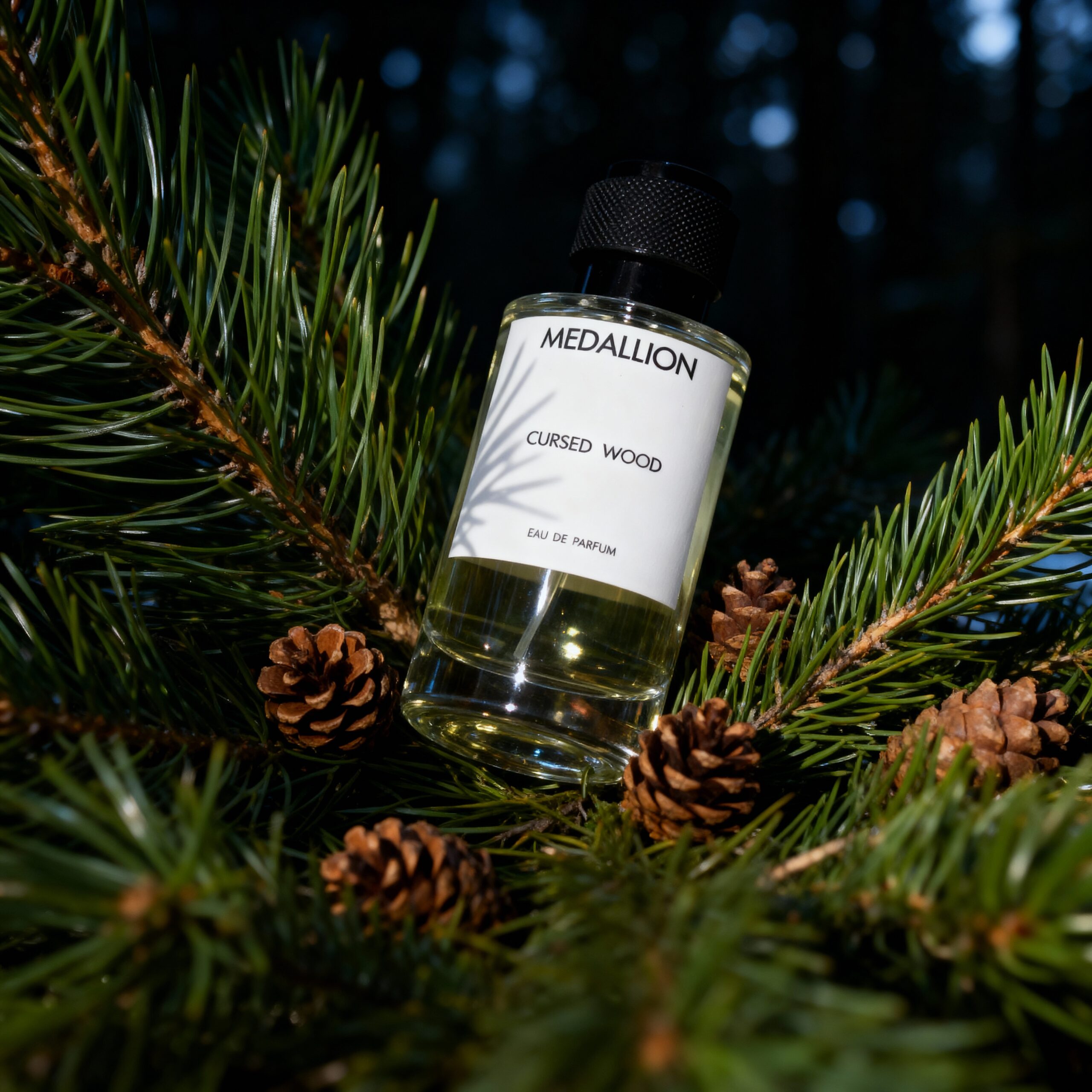 CURSED WOOD - Image 3