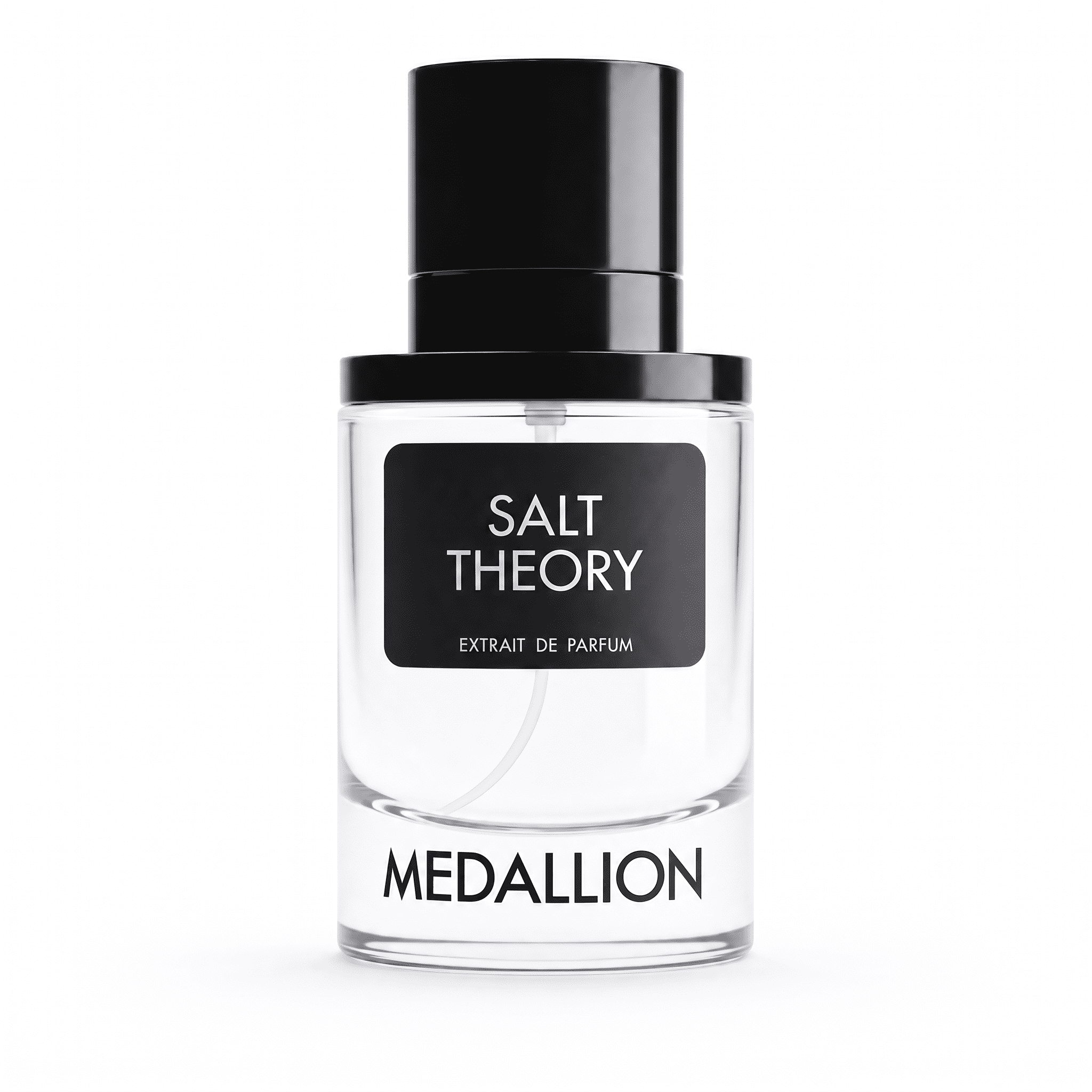 SALT THEORY
